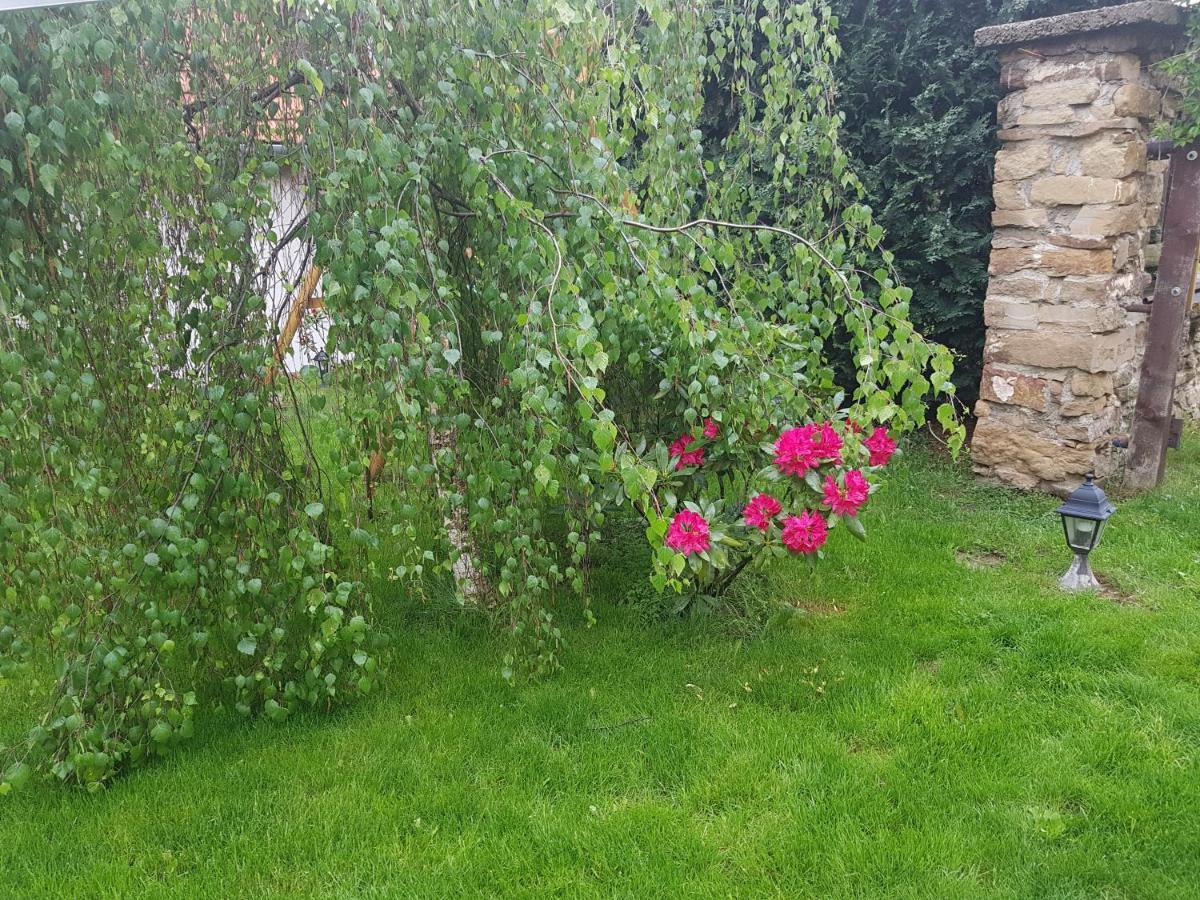 Zlty Dom Vrbov Appartement Buitenkant foto